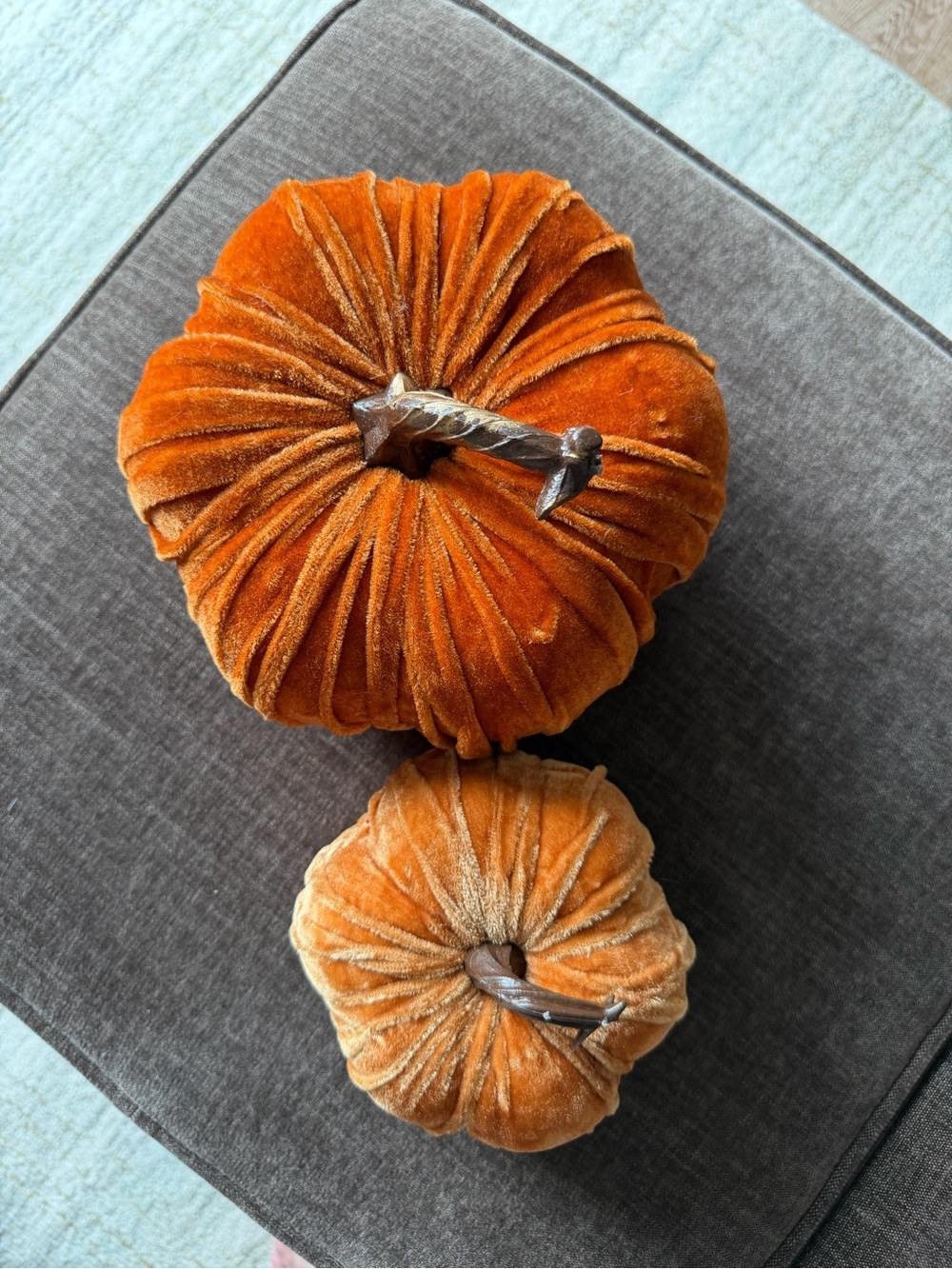 Velvet pumpkin duo